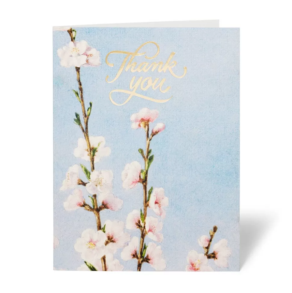 Tarjetas de Agradecimiento con Flores Americanas - Juego de Notas del Museo Metropolitano