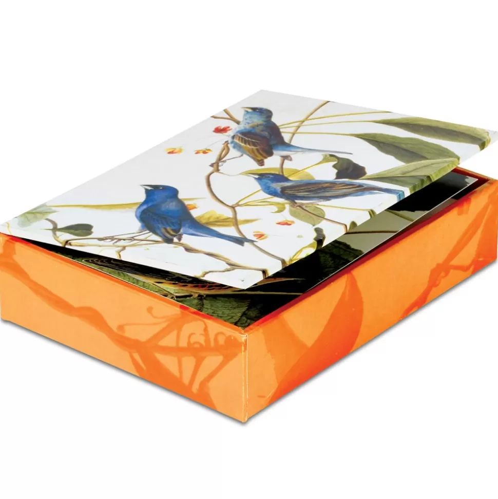 Tarjetas de Aves Audubon del Museo Metropolitano - Colección para Correspondencia Elegante