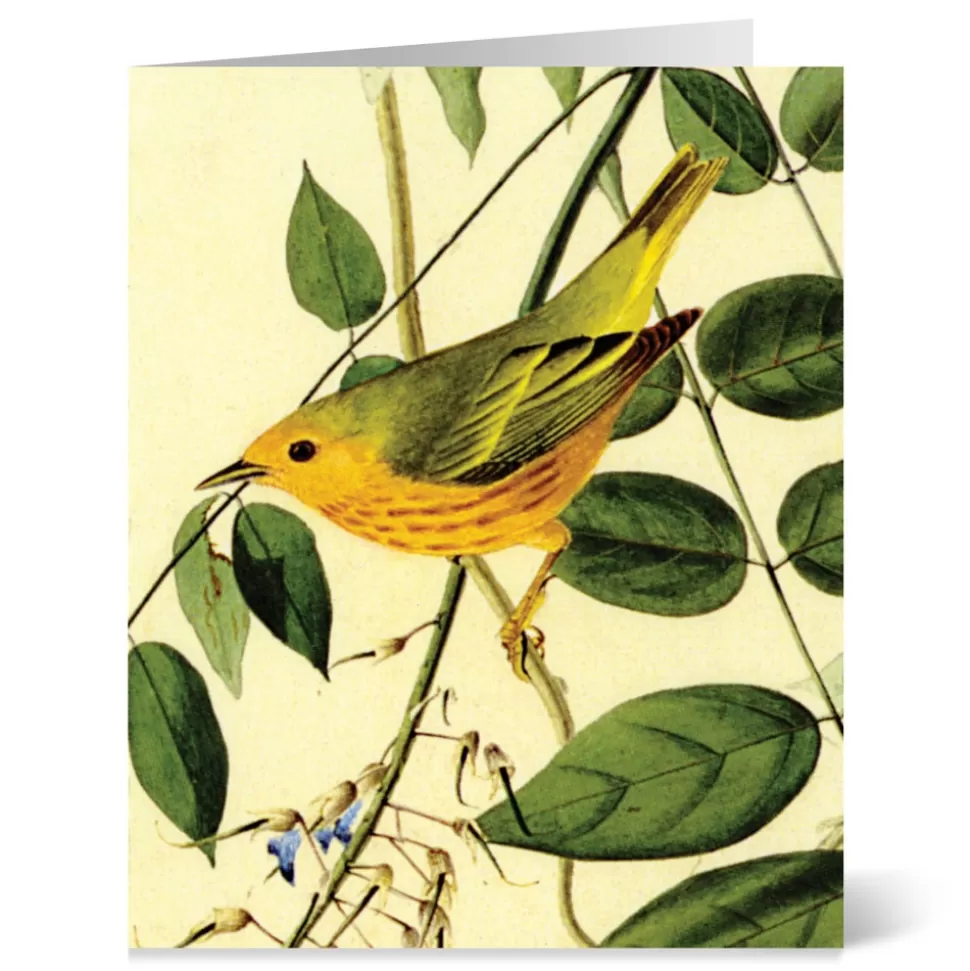 Tarjetas de Aves Audubon del Museo Metropolitano - Colección para Correspondencia Elegante