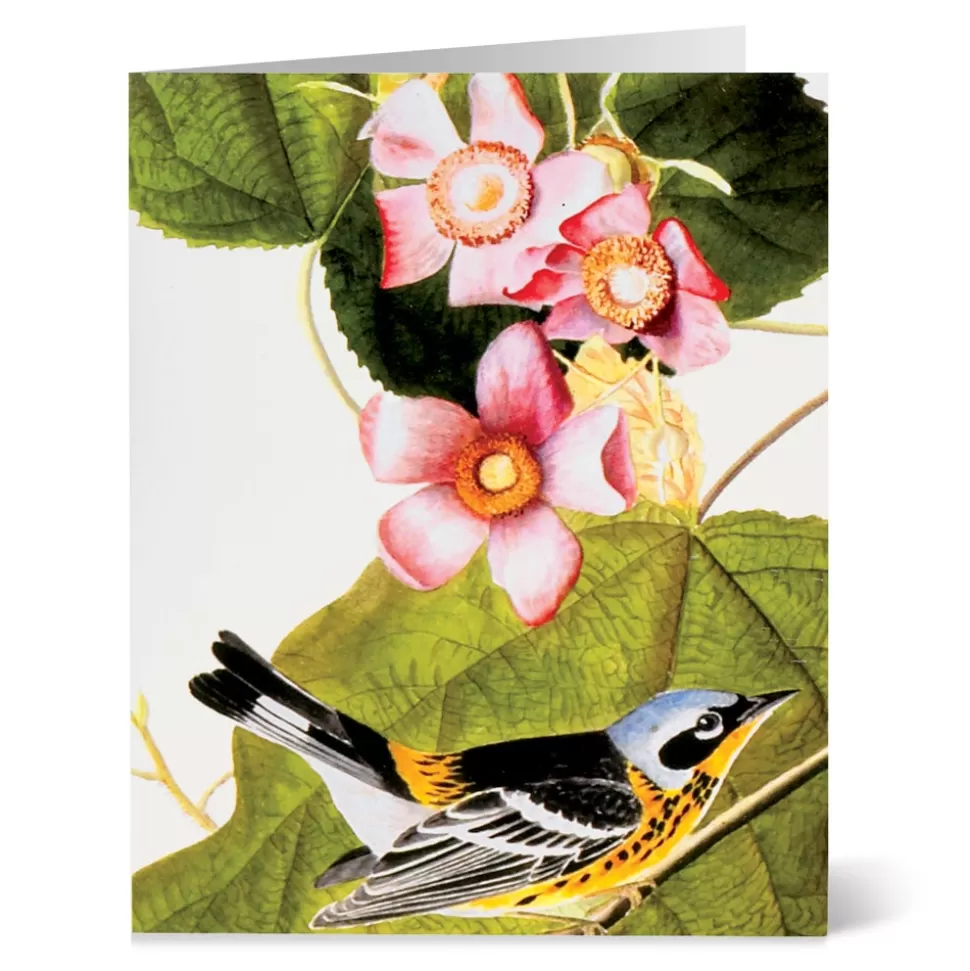 Tarjetas de Aves Audubon del Museo Metropolitano - Colección para Correspondencia Elegante
