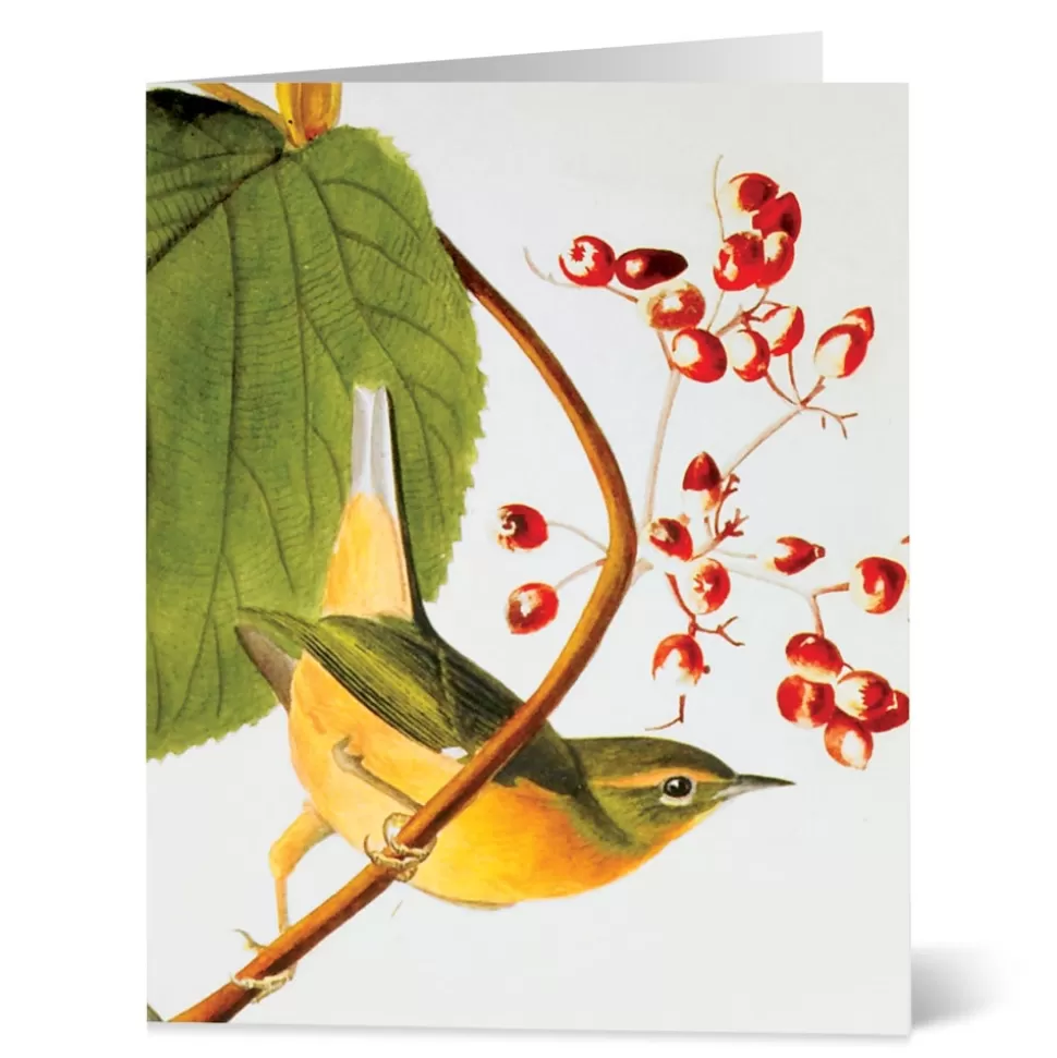 Tarjetas de Aves Audubon del Museo Metropolitano - Colección para Correspondencia Elegante