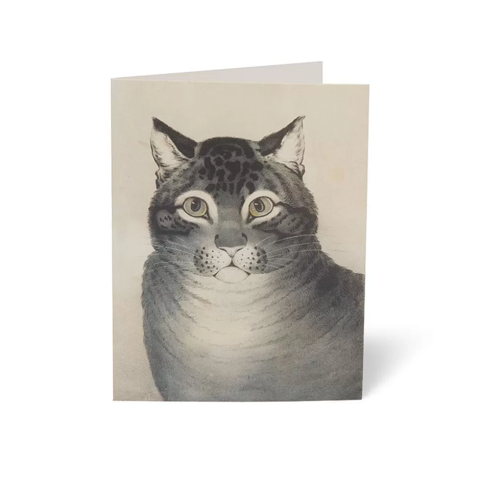 Tarjetas Artísticas con Felinos del Museo Metropolitano · Colección Especial de Correspondencia