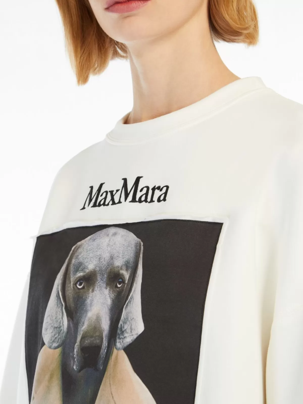 Sudadera clásica de Max Mara en algodón tejido · Estampado exclusivo Wegman · Tono marfil suave · Prenda versátil para looks casuales