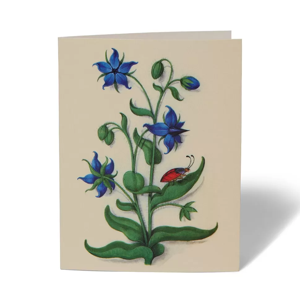 Tarjetas Artísticas del Jardín de Claustros del Met - Colección Exclusiva para Correspondencia Elegante