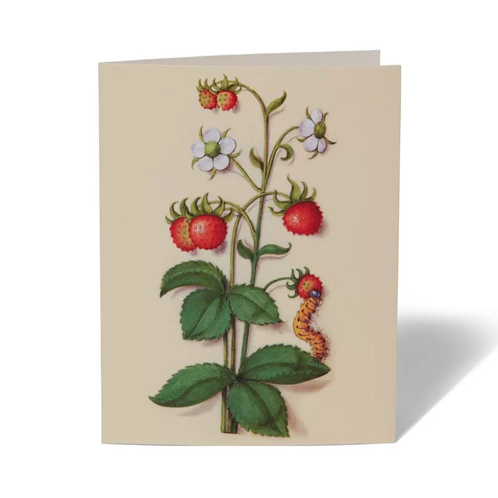 Tarjetas Artísticas del Jardín de Claustros del Met - Colección Exclusiva para Correspondencia Elegante